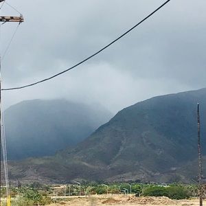 Meet your Posher, Audrey